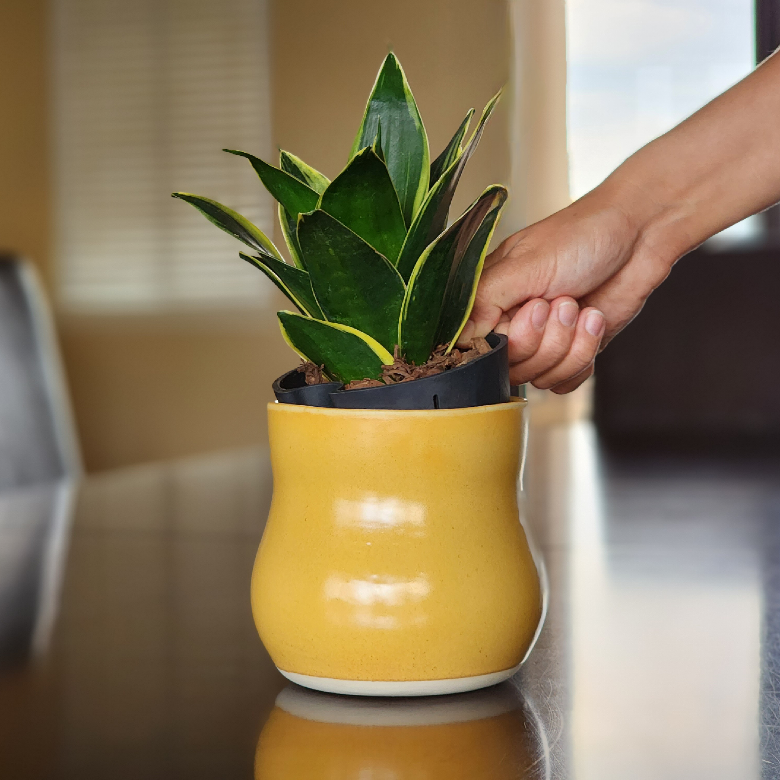 4" Sunflower Curvy Ceramic Plant Pot