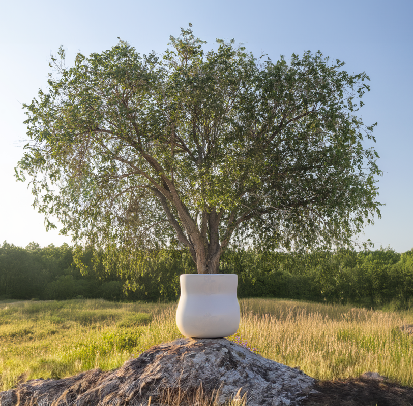 A large tree planted in a white Happy Roots pot, placed on a rock in a sunny, open field.