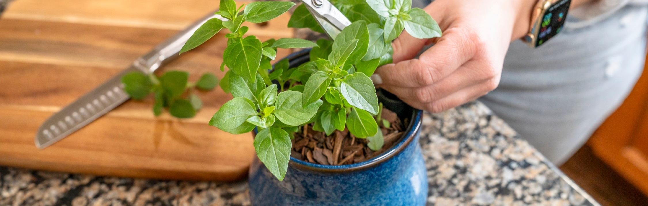 A fresh basil plant growing in a glossy, speckled 'River Blue' Happy Roots Plant Pot on a granite countertop. A hand trims the basil with scissors, with a wooden cutting board and knife in the background, creating a cozy kitchen scene.