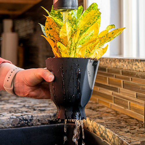 A hand holds a Happy Roots plant pot liner under the running sink in a kitchen. Water runs through the soil and drips through the drainage holes and aeration slots.