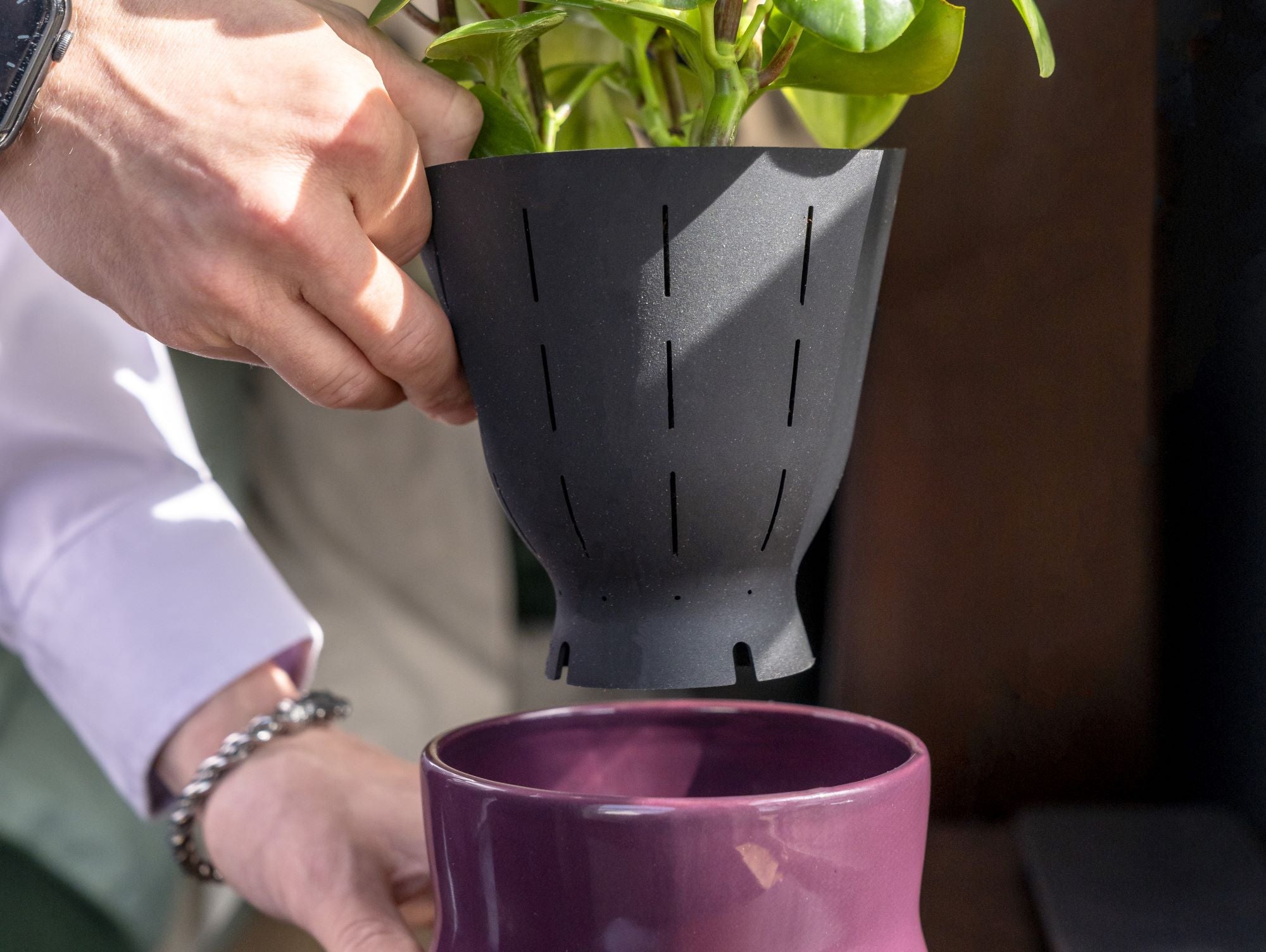 A close-up of hands placing a black Happy Roots flexible liner containing a green plant into a purple ceramic pot, highlighting the liner's aeration slots and the pot's glossy finish.