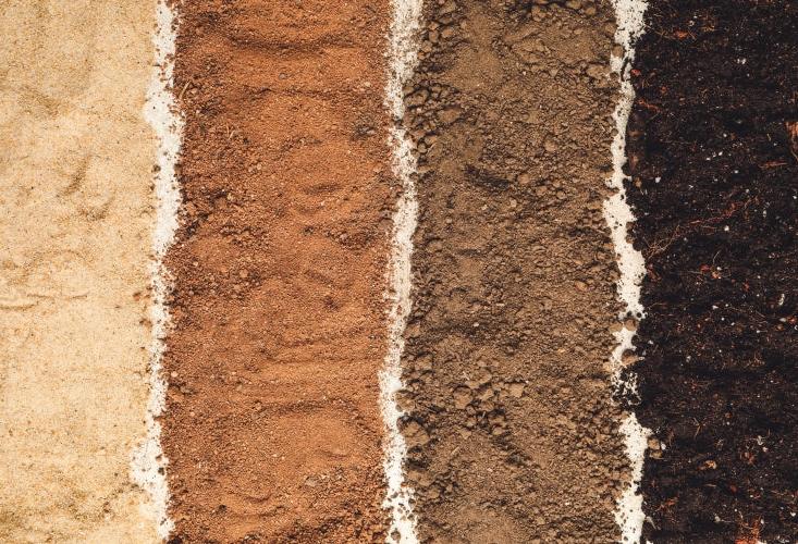 Layers of different soil types, ranging from dark, rich topsoil to light sandy soil, displayed in horizontal bands.