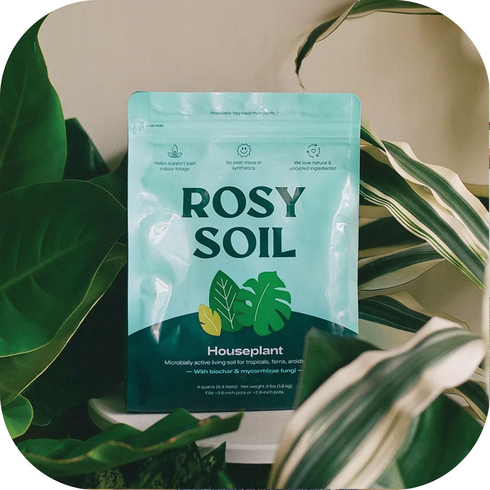 Supplies and more...