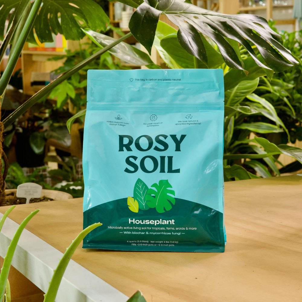 Houseplant Soil