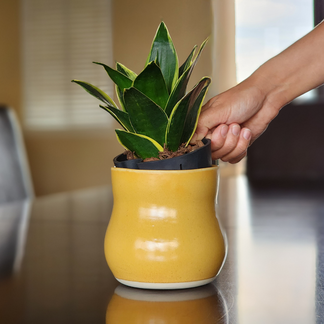 4&quot; Sunflower Curvy Ceramic Plant Pot