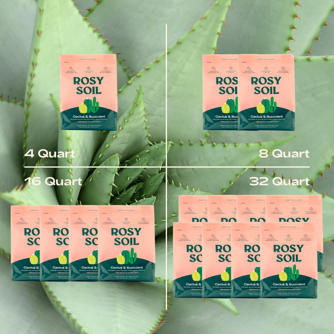 Cactus & Succulent Soil