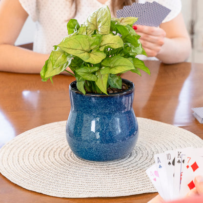 River blue Happy Roots plant pot with arrowhead houseplant in the center of a dining room table while two people play card games.