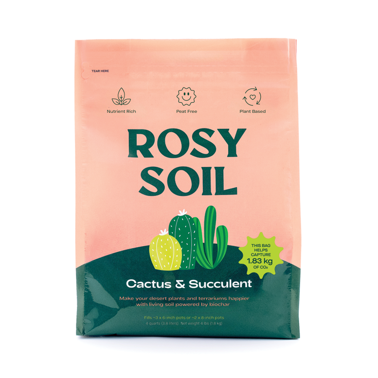 Cactus & Succulent Soil