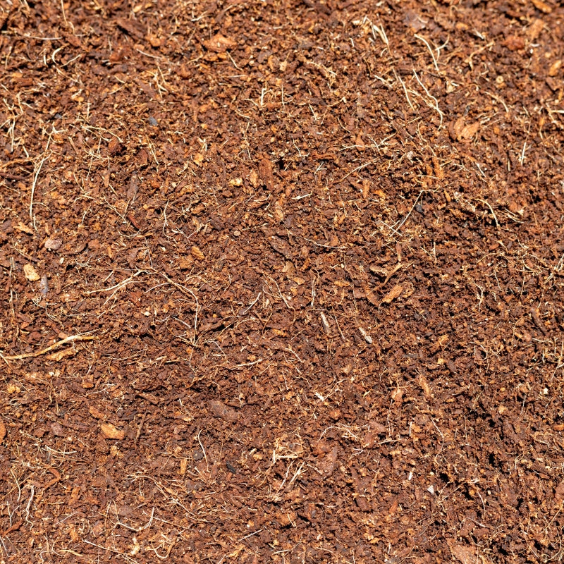 A detailed image of coconut coir, a sustainable and renewable growing medium known for its excellent water retention, aeration, and support for healthy plant roots in gardening and horticulture.