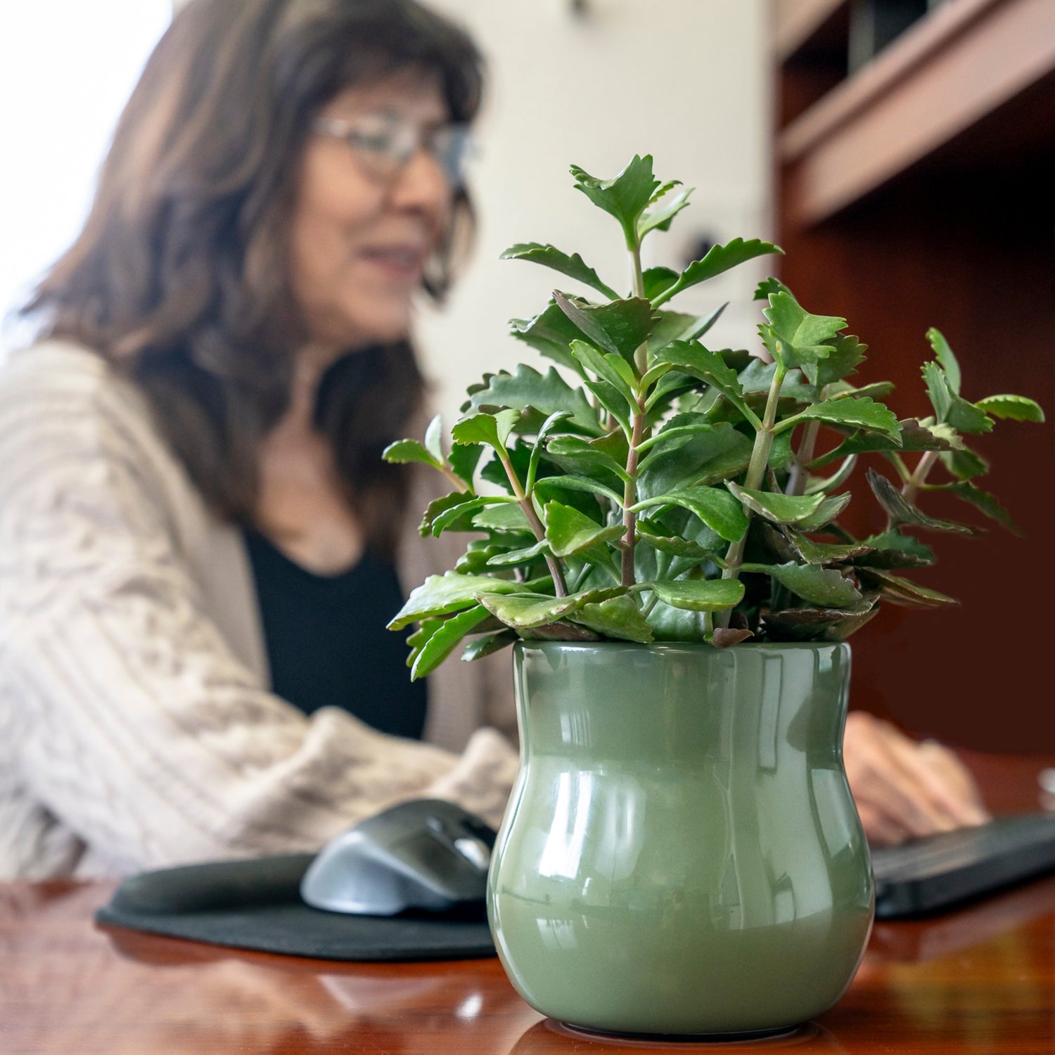 Forest green curvy Happy Roots plant pot with succulent on red desk with a woman in the background working on the computer smiling.