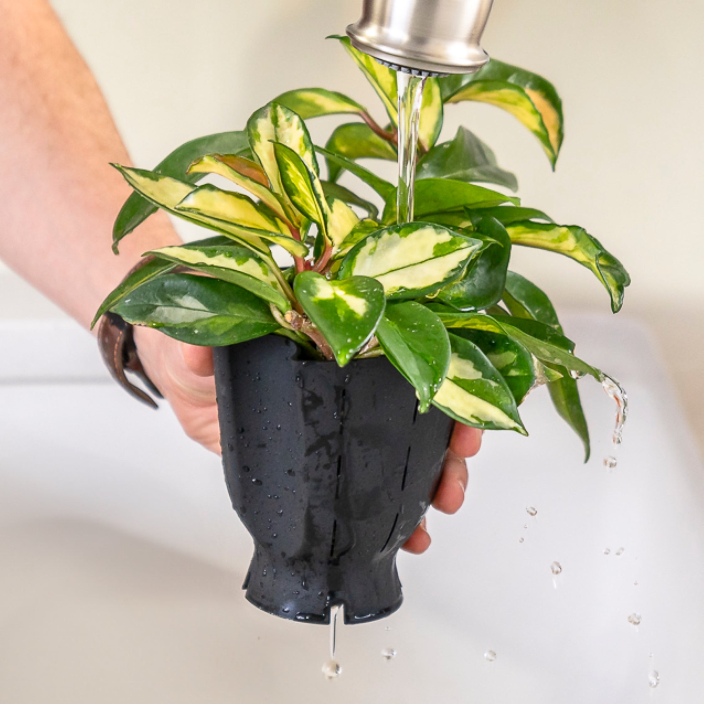 house plant pot liners Ceramic Plant Pot with Rubber Liner