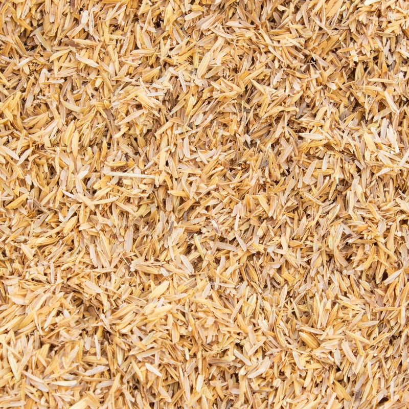 A detailed close-up of golden rice hulls, showcasing their lightweight, fibrous texture commonly used for mulching and soil aeration.