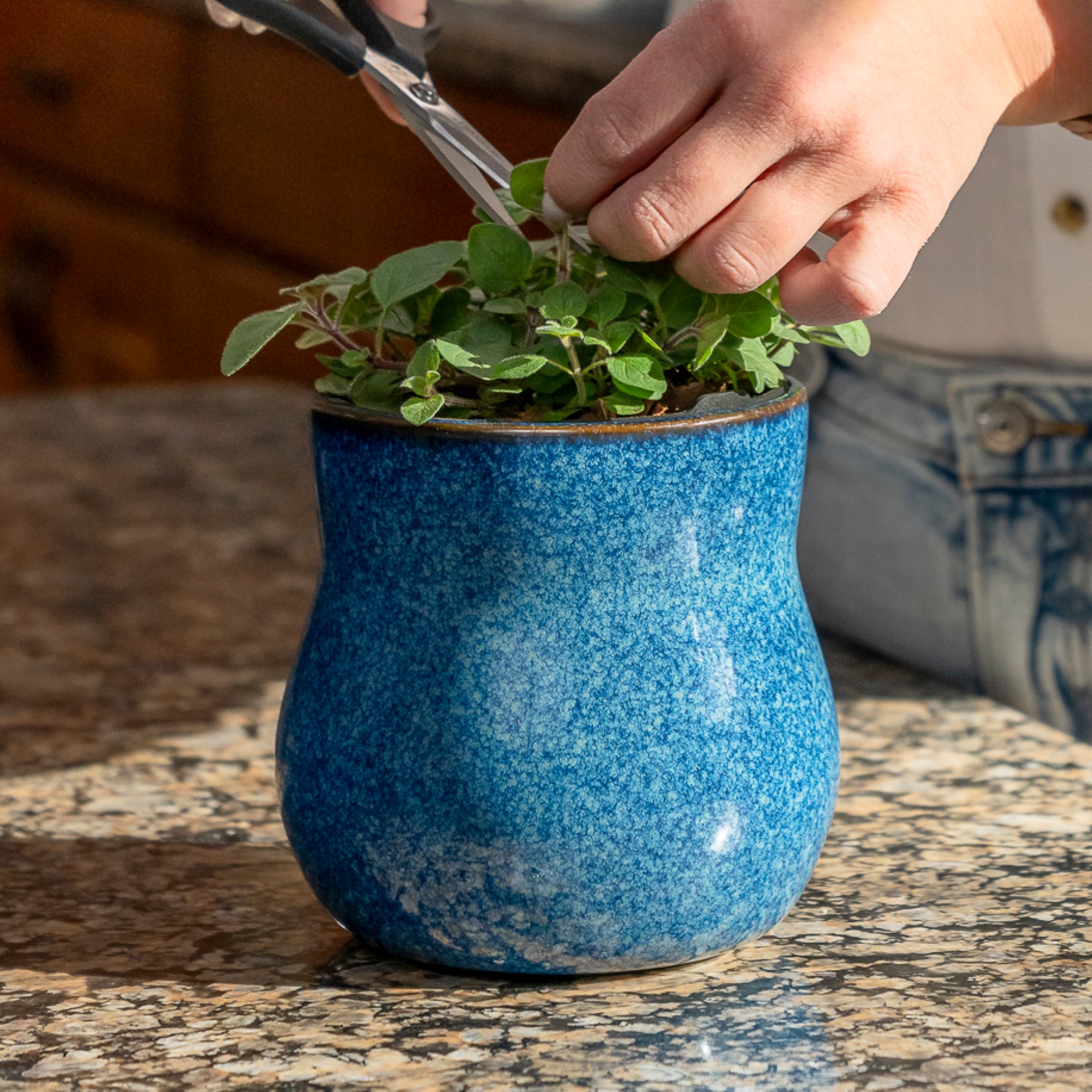 happy roots plant pots Ceramic Plant Pot with Rubber Liner