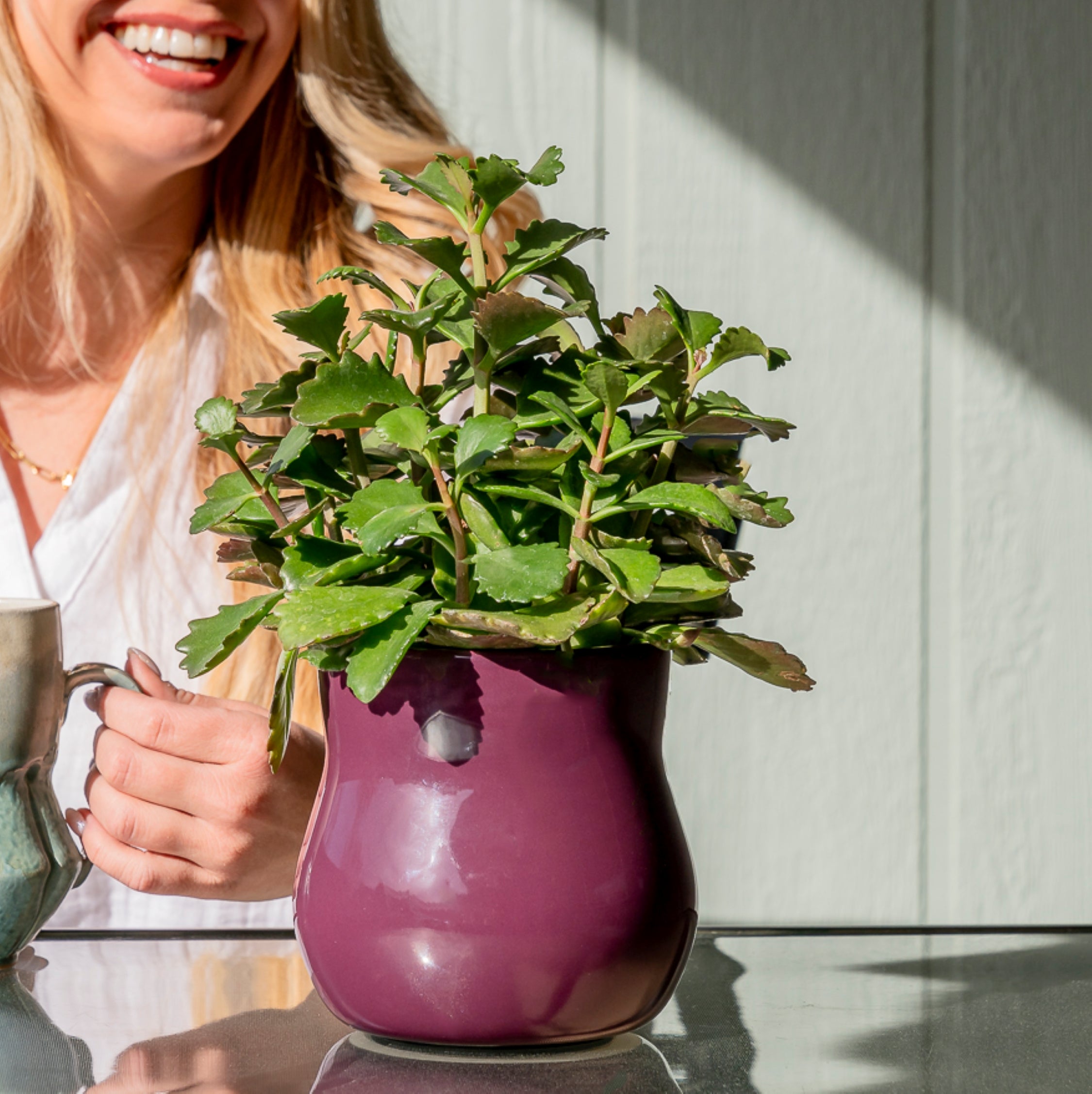 Violet purple curvy Happy Roots plant pot with a succulent inside on a glass table on a porch. In the background, a smiling woman laughs and drinks coffee in front of green siding.  