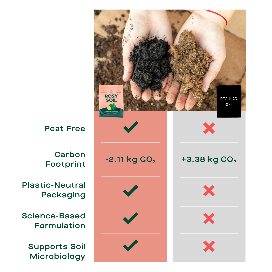 Cactus & Succulent Soil