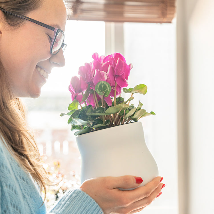 Smiling woman looking down at a pink blooming cyclamen flowering houseplant in an alabaster white curvy Happy Roots plant pot. 