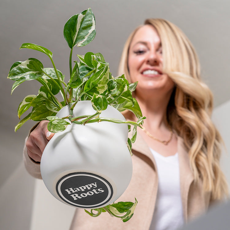 The view the down up of a smiling woman placing a white Happy Roots plant pot down onto a table.