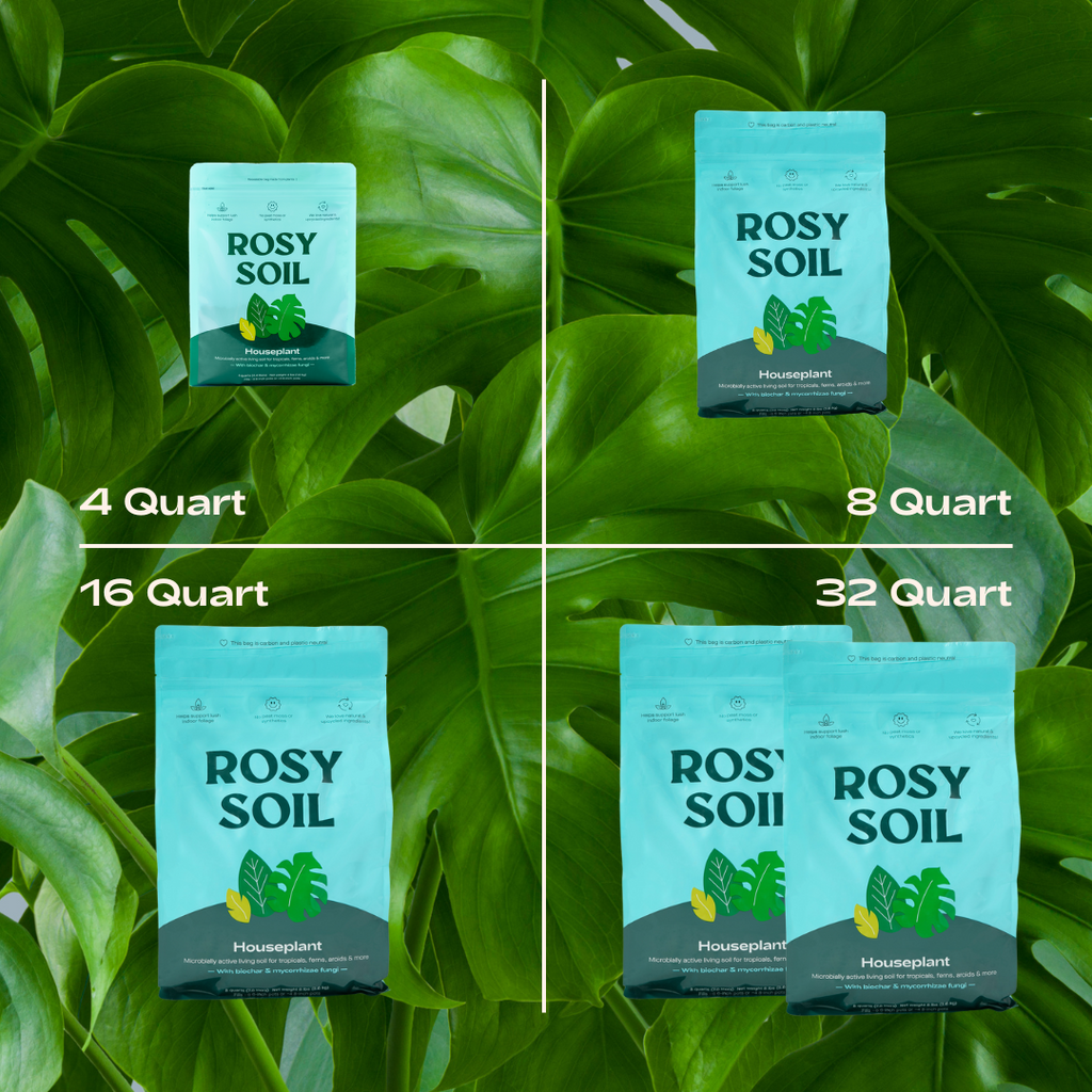 Houseplant Soil